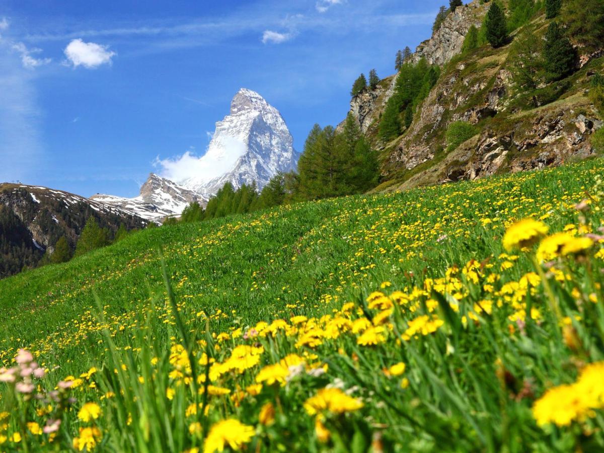 Apartment Fis By Interhome Zermatt Eksteriør bilde
